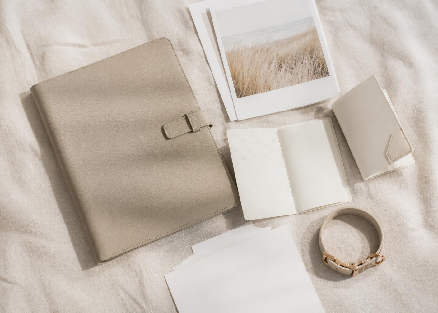 Hochwertiges Übergabepaket mit Unterlagen, Impfpass und Halsband